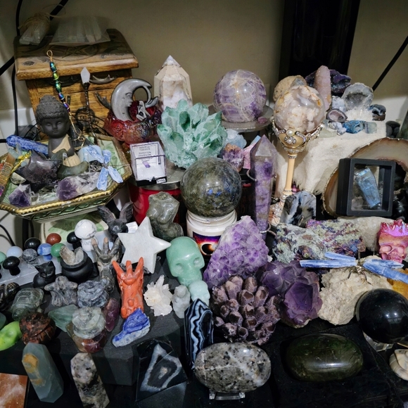 Meet Luna - Picture 7 of 16